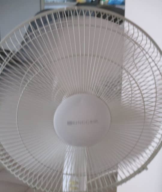 FIXED AND OSCILLATING WITH ADJUSTABLE HEIGHT 3 SPEED PEDESTAL FAN Air