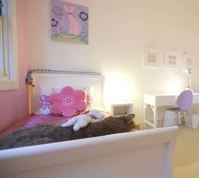 Lilly and Lolly Sleigh Bed x 2 Cots & Bedding Gumtree Australia