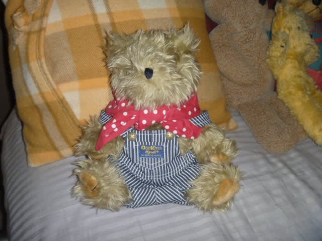 Vintage OshKosh B'gosh Teddy Bear 1996 | Collectables | Gumtree ...