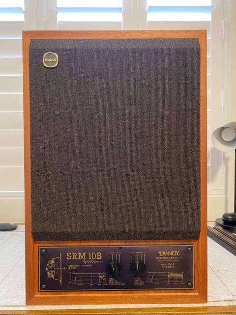 tannoy srm 10b