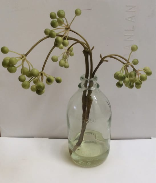 Artificial plant / greenery in glass bottle Other Home Decor