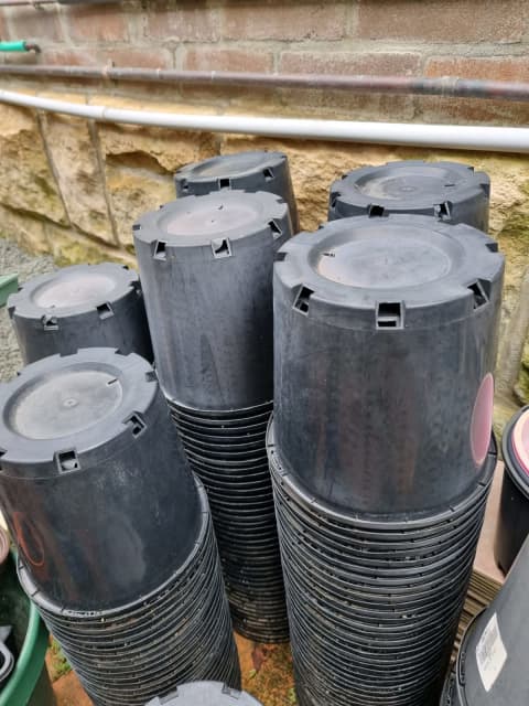 Black plastic plant pots | Pots & Garden Beds | Gumtree Australia Ryde ...