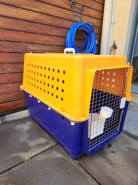 Pet Crate pet carrier. Jetpet travel PP50. Dog crate. Dog travel