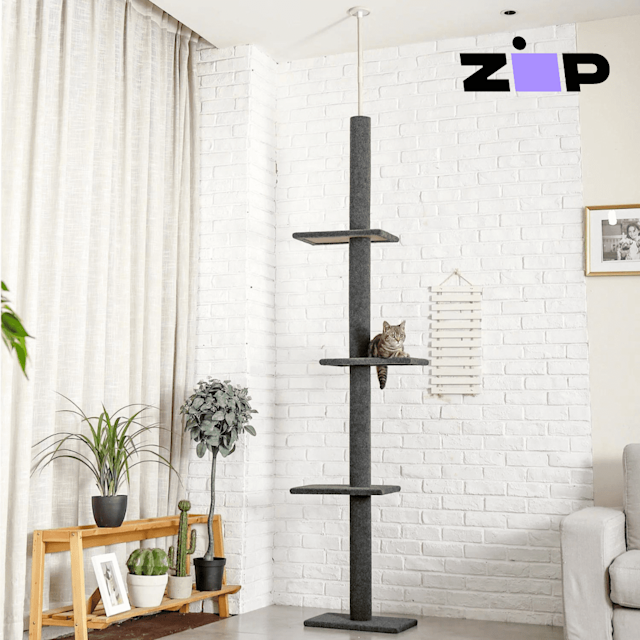 Floor To Ceiling Cat Tower Australia Shelly Lighting