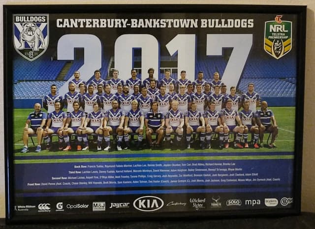 Canterbury Bulldogs 2017 Official NRL Collectable Car 