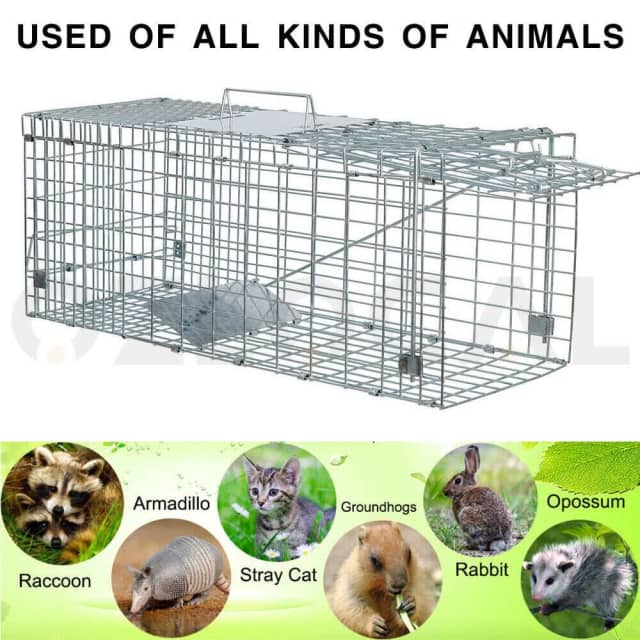 Extra Large Trap Humane Possum Cage Live Animal Catch Cat Rabbit