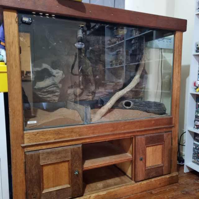 large reptile tank terrarium with Pet Products Gumtree