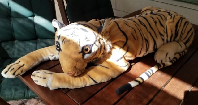 how to start investing