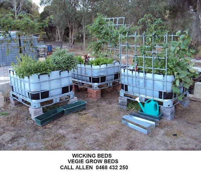 Wicking Bed Vegie Grow bed from Recycled IBC 90 Plants in Casuarina