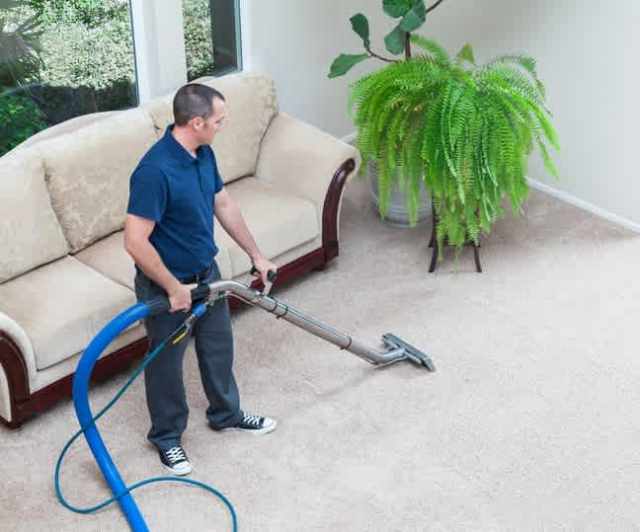 Carpet & Pest Cleaning Across Brisbane, Gold Coast & Ipswich From 89