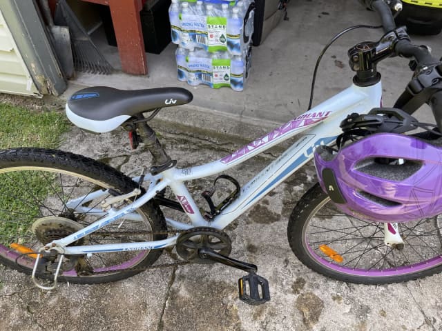 cyrusher folding bike