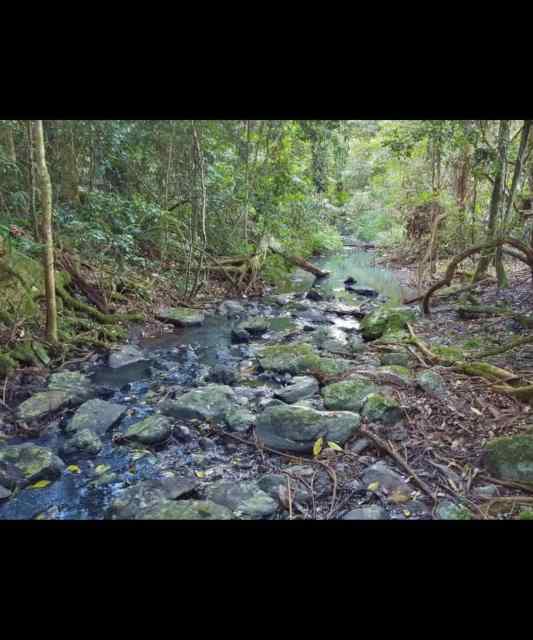 Farm Rental property NSW Property for Rent Gumtree