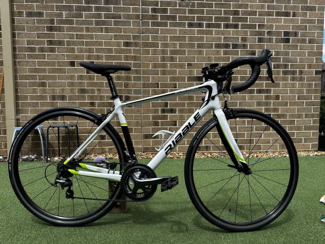 Ribble evo pro carbon hot sale