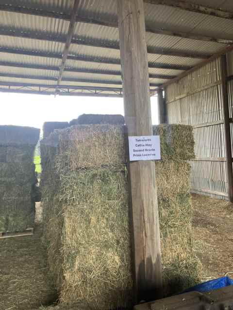 Hey I’m selling horse 🐎 hay cattle hay and teff hay - Miscellaneous ...