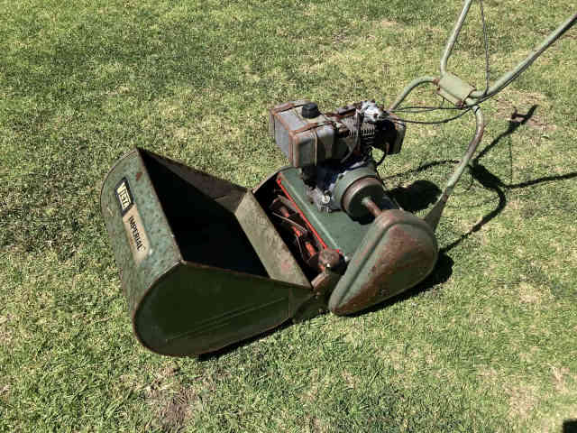 Gumtree reel mower sale