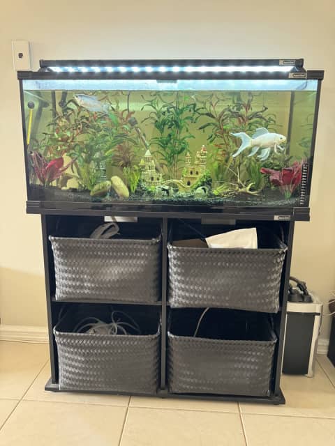 Aqua One 130 Litre Fish Tank with all accessories and fish | Pet ...