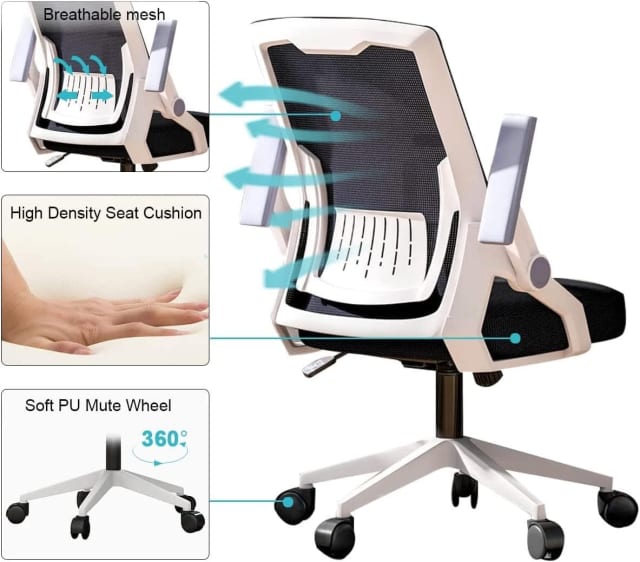 Ergonomic Office Chair with Lumbar Support & Flipup Armrest, WFH