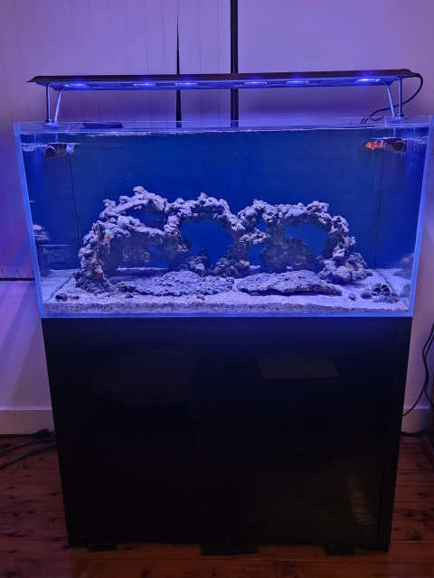 Cade Reef S2 1200 Black + Full Marine Aquarium Setup | Pet Products ...