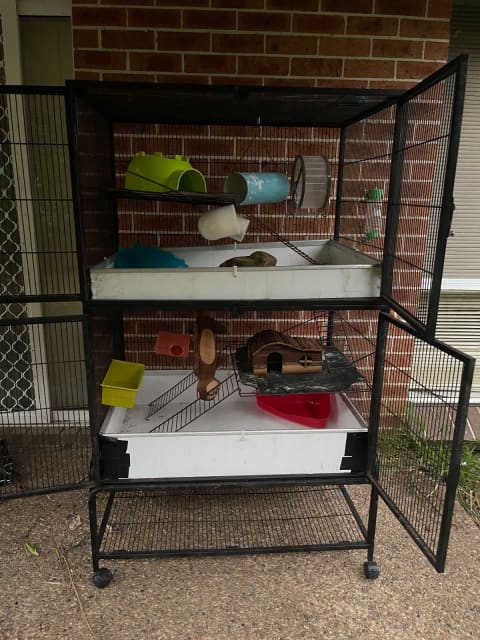 critter nation cage for hedgehog