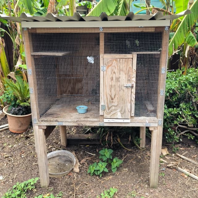 Bird cage Pet Products Gumtree Australia Bankstown Area Villawood