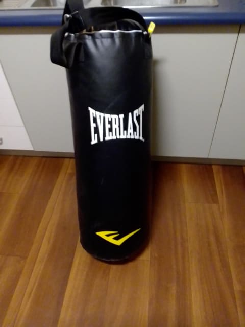 Everlast Punching Bag Small Size for Sale in Detroit, MI - OfferUp