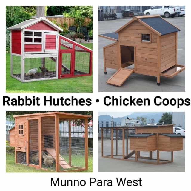 Rabbit Hutches 🐰 Chicken Coops 🐣 Guinea Pig 🐷 from 149 LOCAL Pet