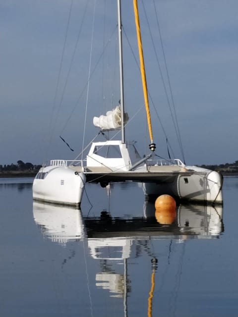 sailing catamaran for sale gumtree australia