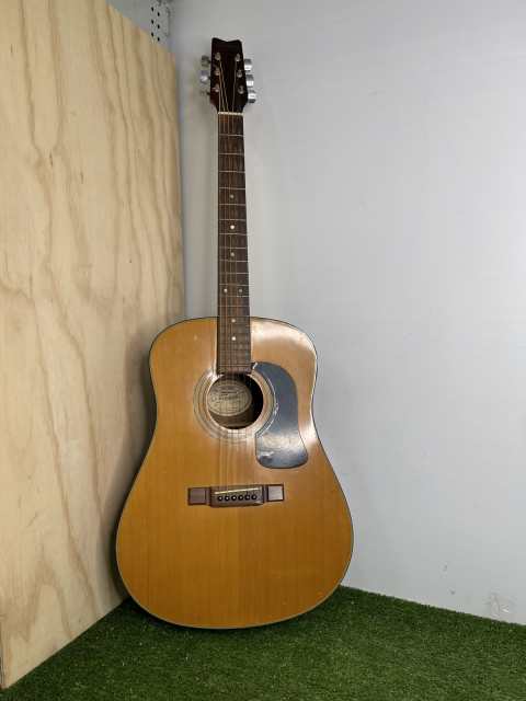 washburn d10n