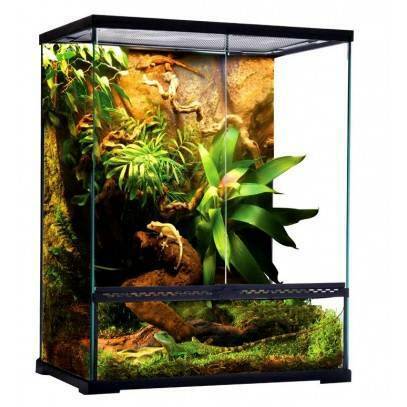 Reptile Spider Scorpion Frog Lizard Snake Tanks Enclosures Terrariums ...