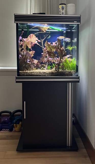 aqua one 200l tank