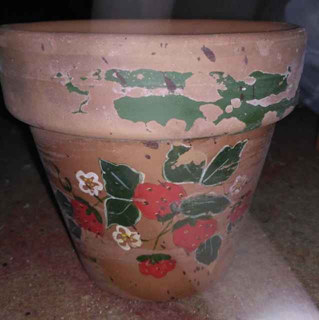 Used Terracotta Plant Pot 13cm Diameter Made in Italy Needs TLC
