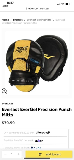 everlast evergel precision punch mitts