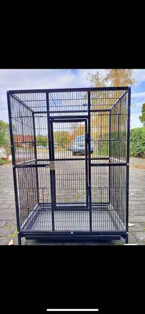 Up for sale some almost new cages and sun conures | Pet Products ...