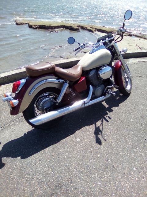 Honda discount shadow gumtree