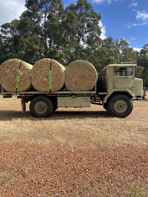 Truck VINTAGE ARMY, Acco International | Trucks | Gumtree Australia ...