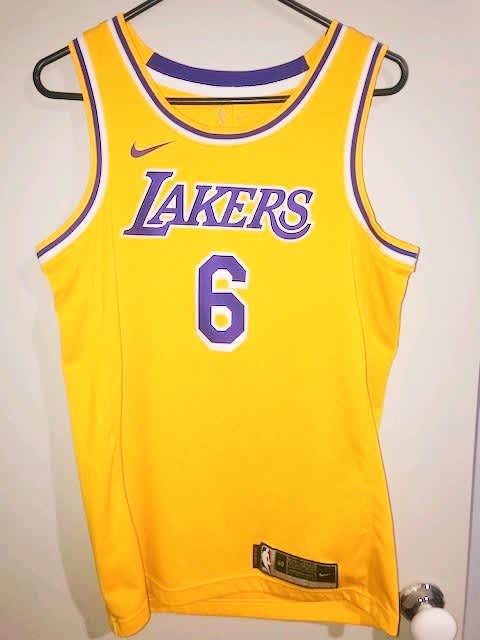 Nike Los Angeles Lakers LeBron James #6 Icon Swingman Jersey L