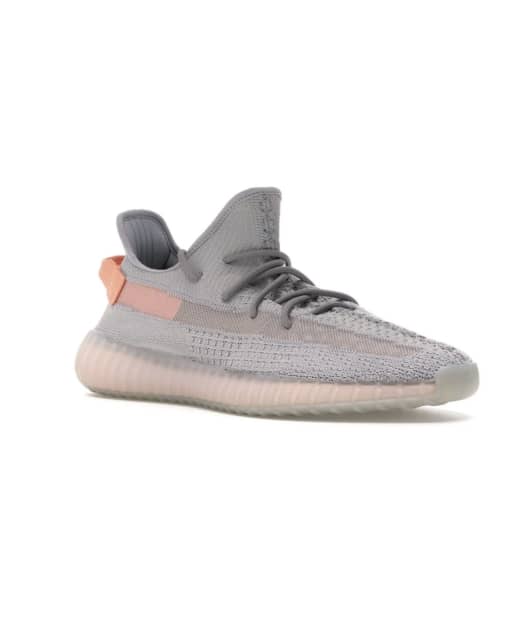 yeezy 350v2 true form