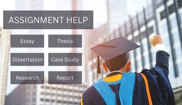 university assignment help gumtree