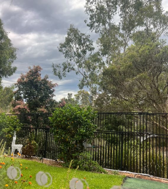 Pool Fence Black Flat top 1200 Fencing & Gates Gumtree Australia