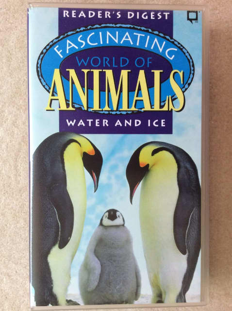 VHS The Fascinating world of Animals - Water & Ice - AS NEW | CDs & DVDs |  Gumtree Australia Joondalup Area - Greenwood | 1308728682