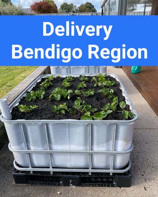IBC Wicking Beds Raised Garden Pots & Garden Beds Gumtree Australia
