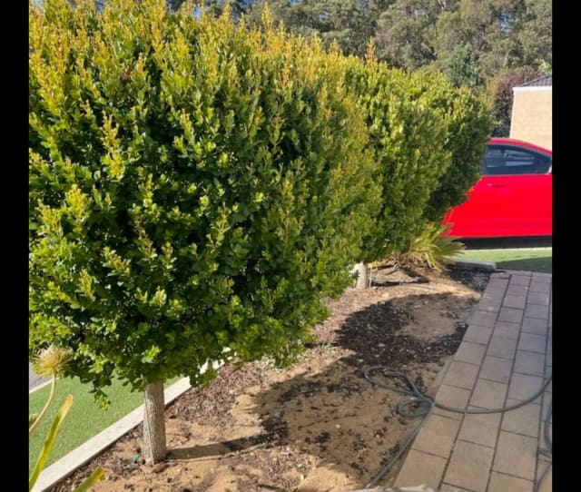 Person Needed for Site Rubbish Removal Other Jobs Gumtree Australia