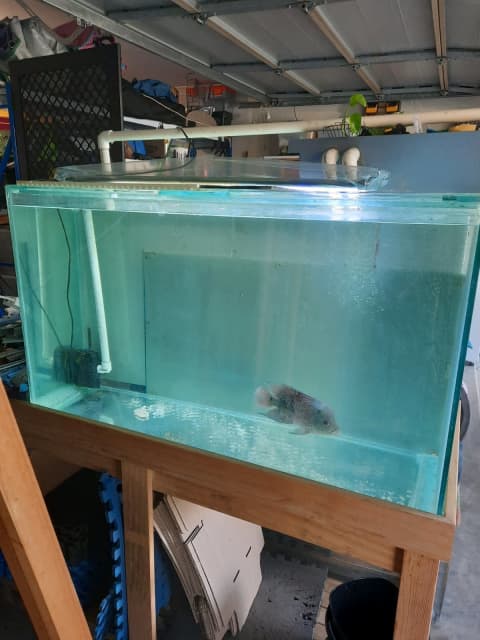 fish tank for sell