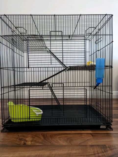 pet barn rat cage