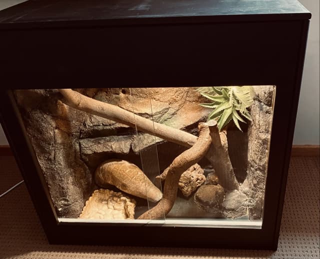 Reptile Enclosure Complete Setup Pet Products Gumtree Australia