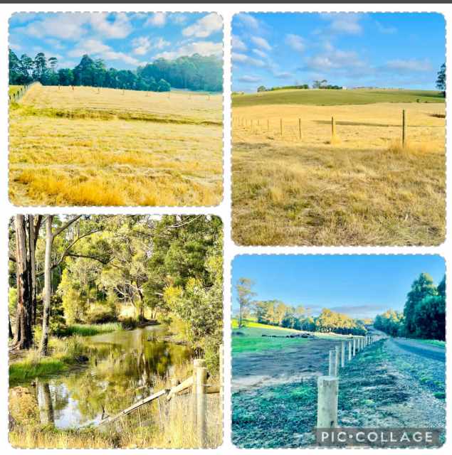 🌸30 ACRES LAND 🌸 ready to build ,ALL INFRASTRUCTURE DONE | Land For ...