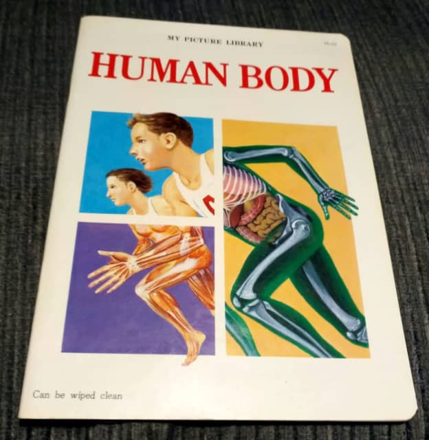 Book - My Picture Library - Human Body | Children's Books | Gumtree ...