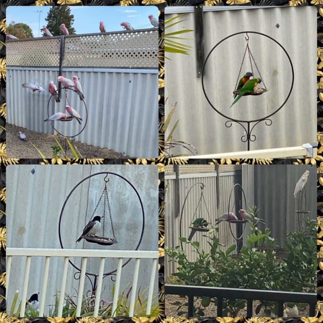 Bird Bath / Bird Feeder. Hanging Cast Iron Bird Feeder / Bird Bath ...