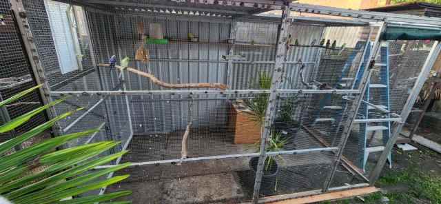 Large Bird Avairy For Sale | Pet Products | Gumtree Australia Knox Area ...