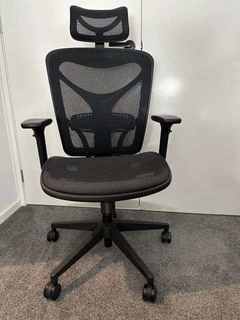 Ergoduke best sale office chairs